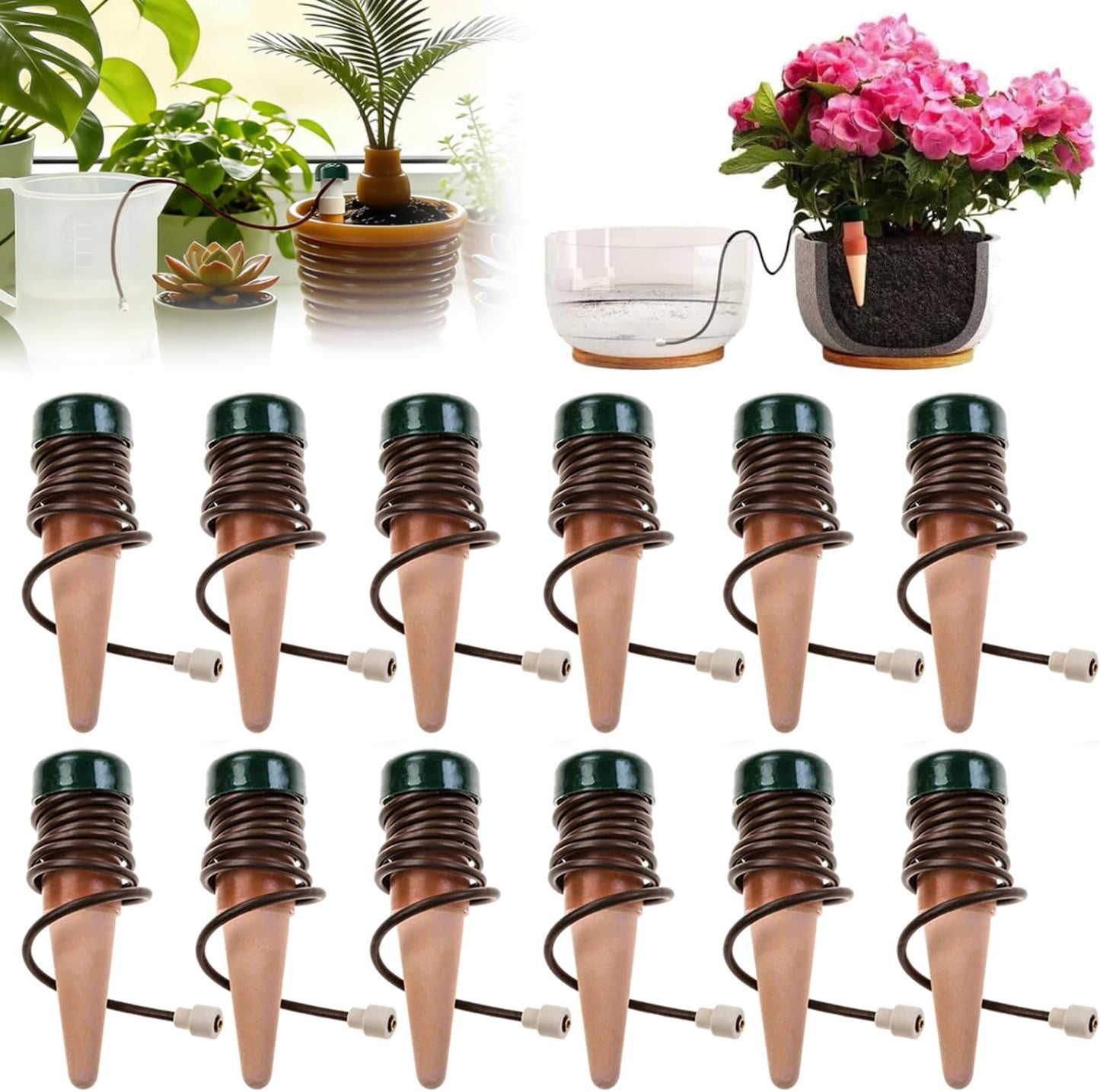 Distributeur d'eau pour plantes: Lot de 12