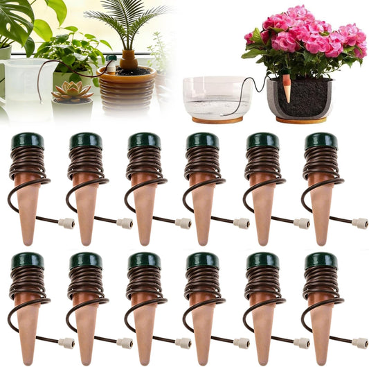 Distributeur d'eau pour plantes: Lot de 12